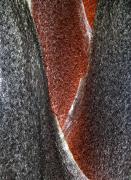 I miejsce w kategorii Rośliny, grzyby, porosty – Marek Kucharczyk: Łodyga