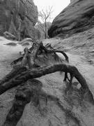 Krajobraz – wyróżnienie Anna Węglarz – Poza zasięgiem ludzkich mocy